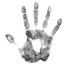 Palm Print Comparison